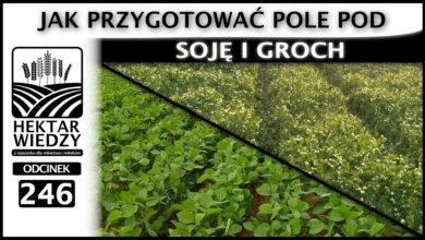 Photo of JAK PRZYGOTOWAĆ POLE POD SOJĘ I GROCH? | ODCINEK 246