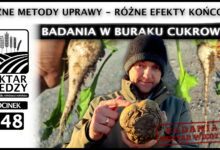 Photo of RÓŻNE METODY UPRAWY = RÓŻNE EFEKTY KOŃCOWE. BADANIA W BURAKU CUKROWYM. | ODCINEK 248