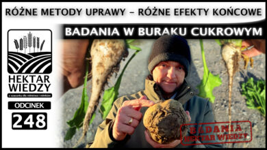 Photo of RÓŻNE METODY UPRAWY = RÓŻNE EFEKTY KOŃCOWE. BADANIA W BURAKU CUKROWYM. | ODCINEK 248