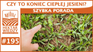 Photo of CZY TO KONIEC CIEPŁEJ JESIENI? | SZYBKA PORADA #195