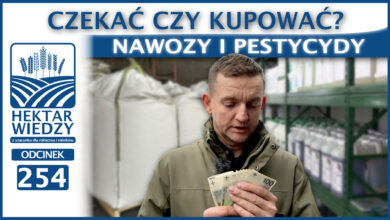 Photo of NAWOZY I PESTYCYDY – CZEKAĆ CZY KUPOWAĆ? | ODCINEK 254