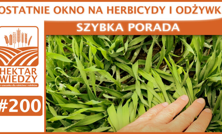 SZYBKA_PORADA_OKLADKA_200