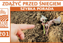 Photo of ZDĄŻYĆ PRZED ŚNIEGIEM. | SZYBKA PORADA #201