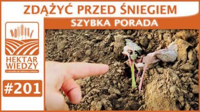 Photo of ZDĄŻYĆ PRZED ŚNIEGIEM. | SZYBKA PORADA #201