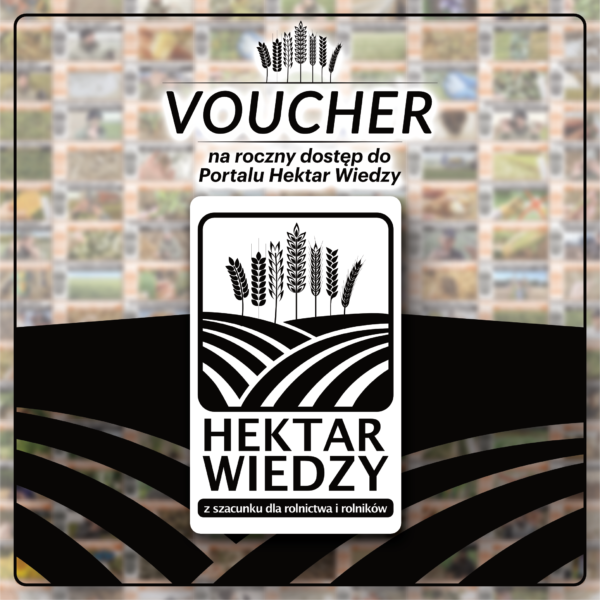 _Voucher_Świąteczny_HW_SKLEP