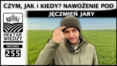 Photo of NAWOŻENIE POD JĘCZMIEŃ JARY. CZYM, JAK I KIEDY? | ODCINEK 255