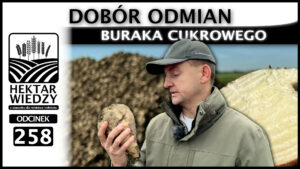 HEKTAR_WIEDZY_OKLADKA_258