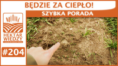 Photo of BĘDZIE ZA CIEPŁO! | SZYBKA PORADA #204