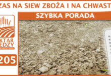 Photo of CZAS NA SIEW ZBOŻA I NA CHWASTY! | SZYBKA PORADA #205