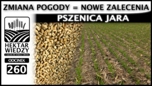 HEKTAR_WIEDZY_OKLADKA_260