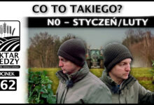 Photo of N0 – STYCZEŃ/LUTY. CO TO TAKIEGO? | ODCINEK 262