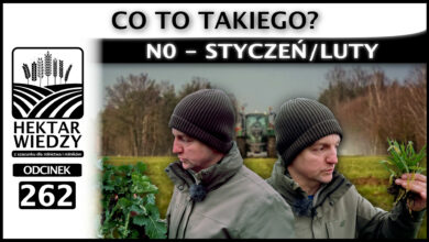 Photo of N0 – STYCZEŃ/LUTY. CO TO TAKIEGO? | ODCINEK 262