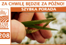 Photo of ZA CHWILĘ BĘDZIE ZA PÓŹNO! | SZYBKA PORADA #208