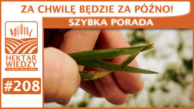 Photo of ZA CHWILĘ BĘDZIE ZA PÓŹNO! | SZYBKA PORADA #208