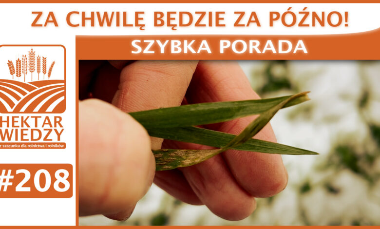 SZYBKA_PORADA_OKLADKA_208