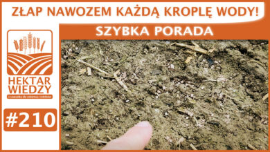 Photo of ZŁAP NAWOZEM KAŻDĄ KROPLĘ WODY! | SZYBKA PORADA #210