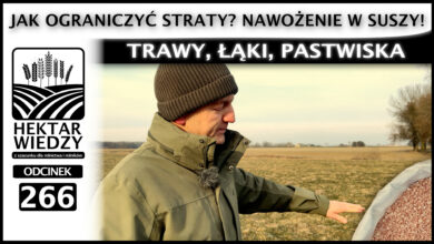 Photo of TRAWY, ŁĄKI, PASTWISKA. JAK OGRANICZYĆ STRATY? NAWOŻENIE W SUSZY. | ODCINEK 266