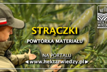 Photo of STRĄCZKI – POWTÓRKA MATERIAŁU