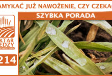 Photo of ZAMYKAĆ JUŻ NAWOŻENIE, CZY CZEKAĆ?