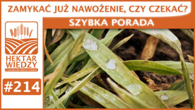 Photo of ZAMYKAĆ JUŻ NAWOŻENIE, CZY CZEKAĆ?