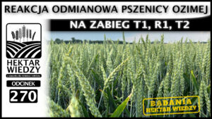 HEKTAR_WIEDZY_OKLADKA_270