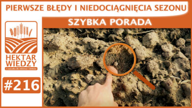 Photo of PIERWSZE BŁĘDY I NIEDOCIĄGNIĘCIA SEZONU. | SZYBKA PORADA #216