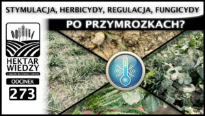 HEKTAR_WIEDZY_OKLADKA_273