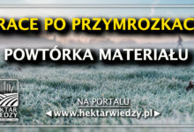 Photo of PRACE PO PRZYMROZKACH – POWTÓRKA MATERIAŁU