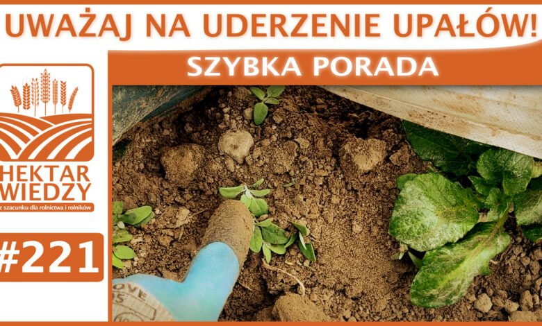 ZYBKA_PORADA_OKLADKA_221
