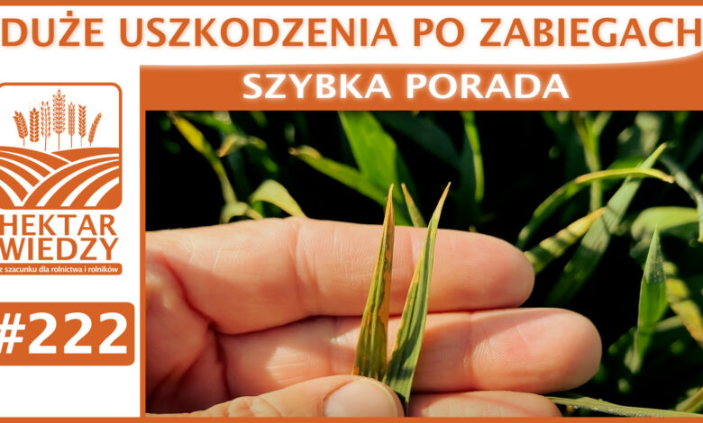 ZYBKA_PORADA_OKLADKA_222