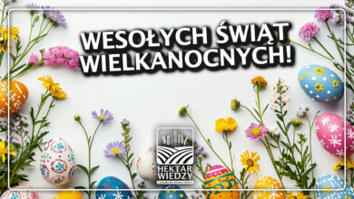 Photo of Świąteczne Życzenia Wielkanocne | Hektar Wiedzy 2025