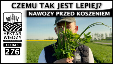 Photo of NAWOZY PRZED KOSZENIEM. CZEMU TAK JEST LEPIEJ? | ODCINEK 276