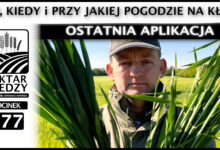Photo of CO, KIEDY I PRZY JAKIEJ POGODZIE NA KŁOS – OSTATNIA APLIKACJA. | ODCINEK 277