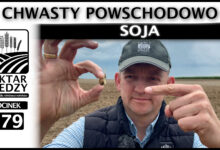 Photo of CHWASTY POWSCHODOWO. SOJA | ODCINEK 279