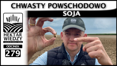 Photo of CHWASTY POWSCHODOWO. SOJA | ODCINEK 279