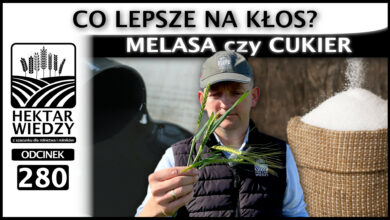 Photo of MELASA CZY CUKIER, CO LEPSZE NA KŁOS? | ODCINEK 280