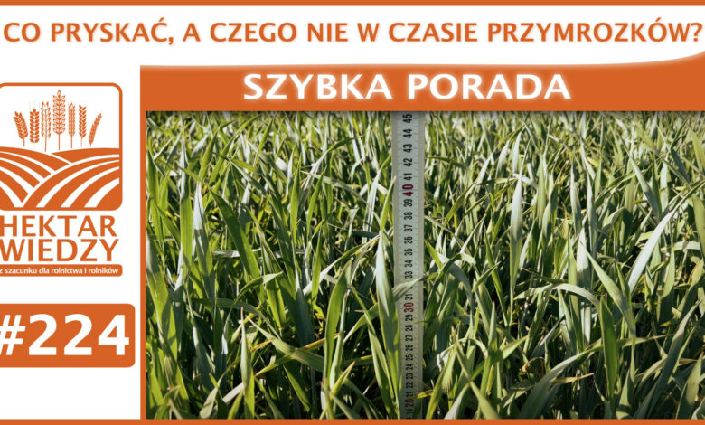 SZYBKA_PORADA_OKLADKA_224