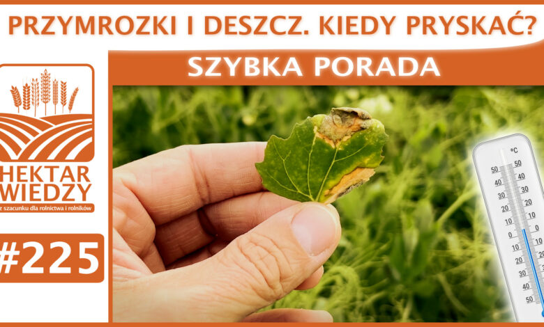 SZYBKA_PORADA_OKLADKA_225