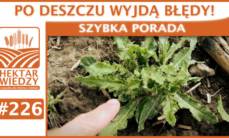 SZYBKA_PORADA_OKLADKA_226