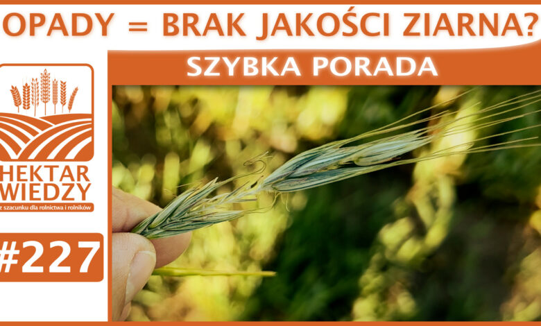 SZYBKA_PORADA_OKLADKA_227