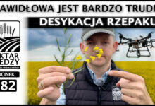 Photo of DESYKACJA RZEPAKU. PRAWIDŁOWA JEST BARDZO TRUDNA. | ODCINEK 282