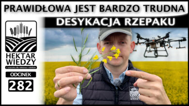 Photo of DESYKACJA RZEPAKU. PRAWIDŁOWA JEST BARDZO TRUDNA. | ODCINEK 282
