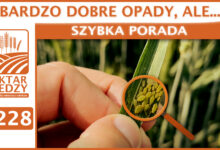 Photo of BARDZO DOBRE OPADY, ALE… | SZYBKA PORADA #228