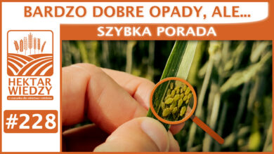 Photo of BARDZO DOBRE OPADY, ALE… | SZYBKA PORADA #228