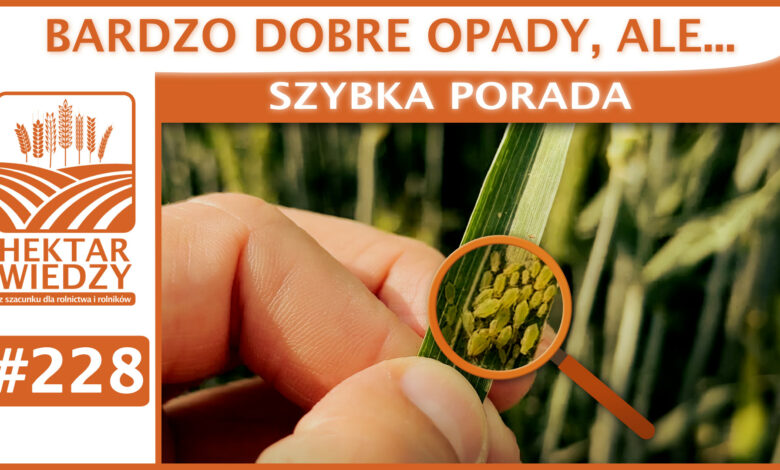 SZYBKA_PORADA_OKLADKA_228