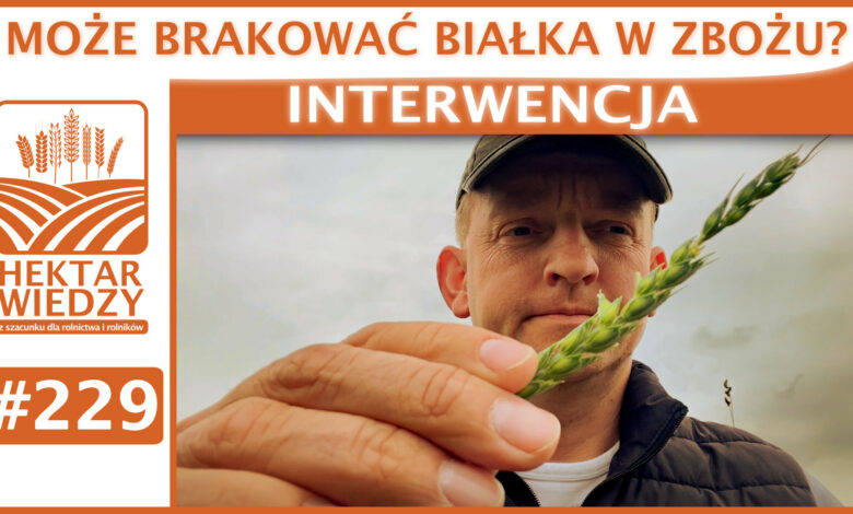 SZYBKA_PORADA_OKLADKA_229