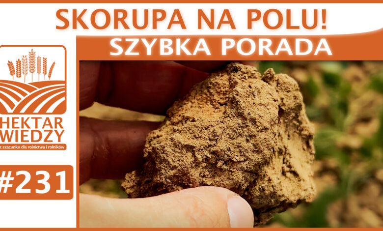 SZYBKA_PORADA_OKLADKA_231