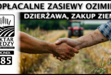 Photo of DZIERŻAWA, ZAKUP ZIEMI. OPŁACALNE ZASIEWY OZIMIN. | ODCINEK 285