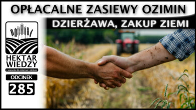 Photo of DZIERŻAWA, ZAKUP ZIEMI. OPŁACALNE ZASIEWY OZIMIN. | ODCINEK 285
