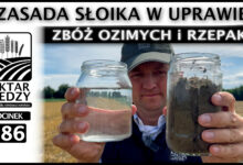 Photo of ZASADA „SŁOIKA” W UPRAWIE ZBÓŻ OZIMYCH I RZEPAKU. | ODCINEK 286